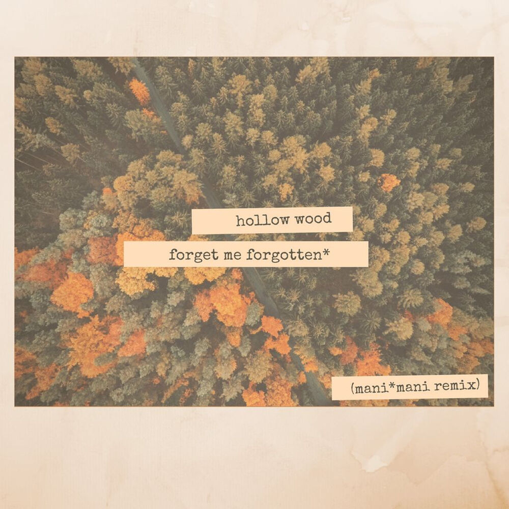 Picture of Forget Me Forgotten (Remix)