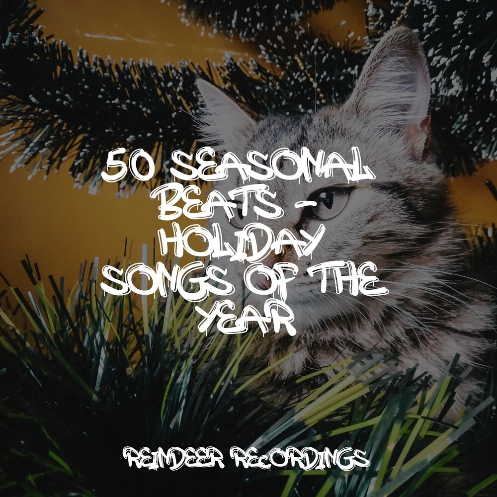 Picture of 50 Seasonal Beats - Holiday Songs of the Year