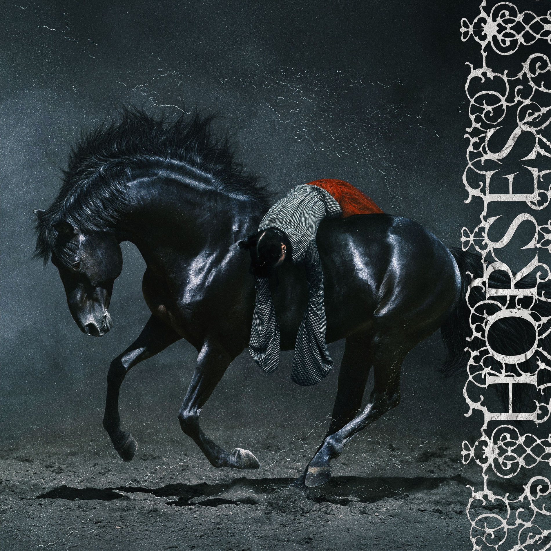 Album cover of Horses