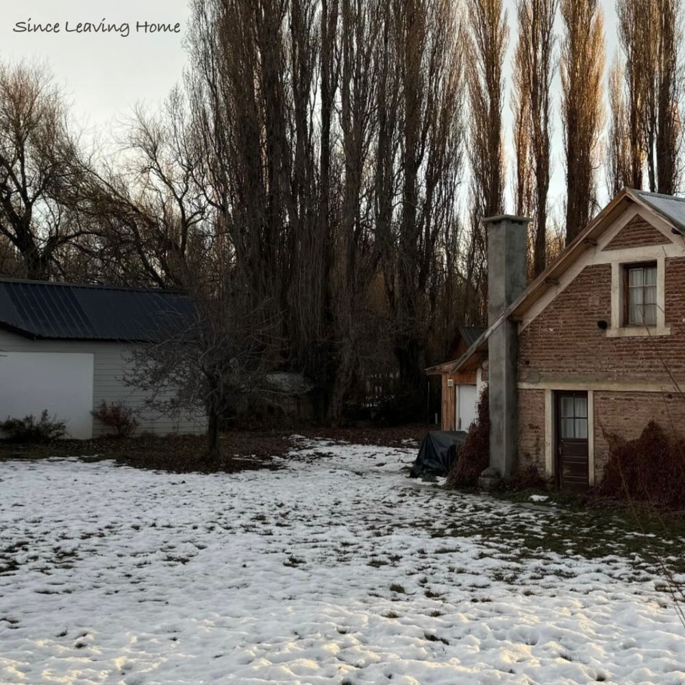 Since Leaving Home by David McCredie