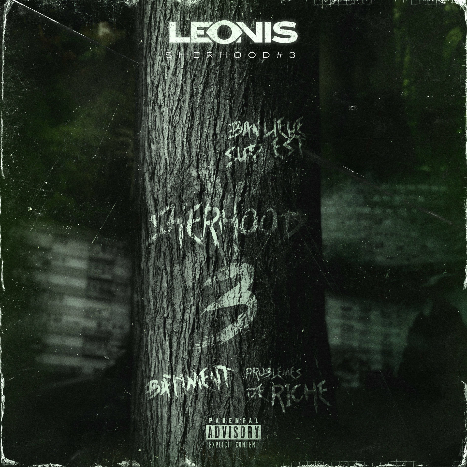 Album cover of Dans le bâtiment (Sherhood #3)