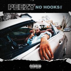 Cover of No Hooks II