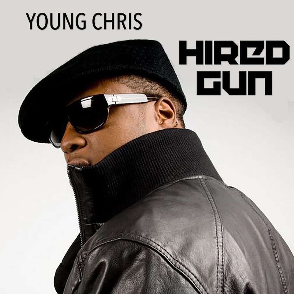 Picture of Hired Gun