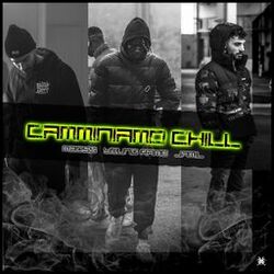 Cover of CAMMINIAMO CHILL