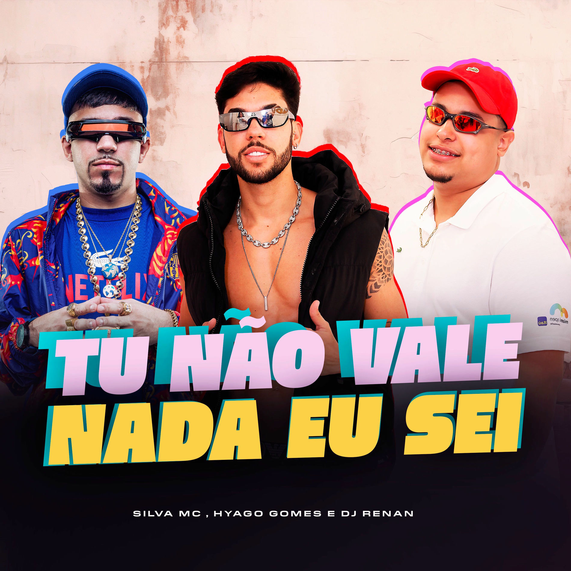 Album cover of Tu não vale nada eu sei