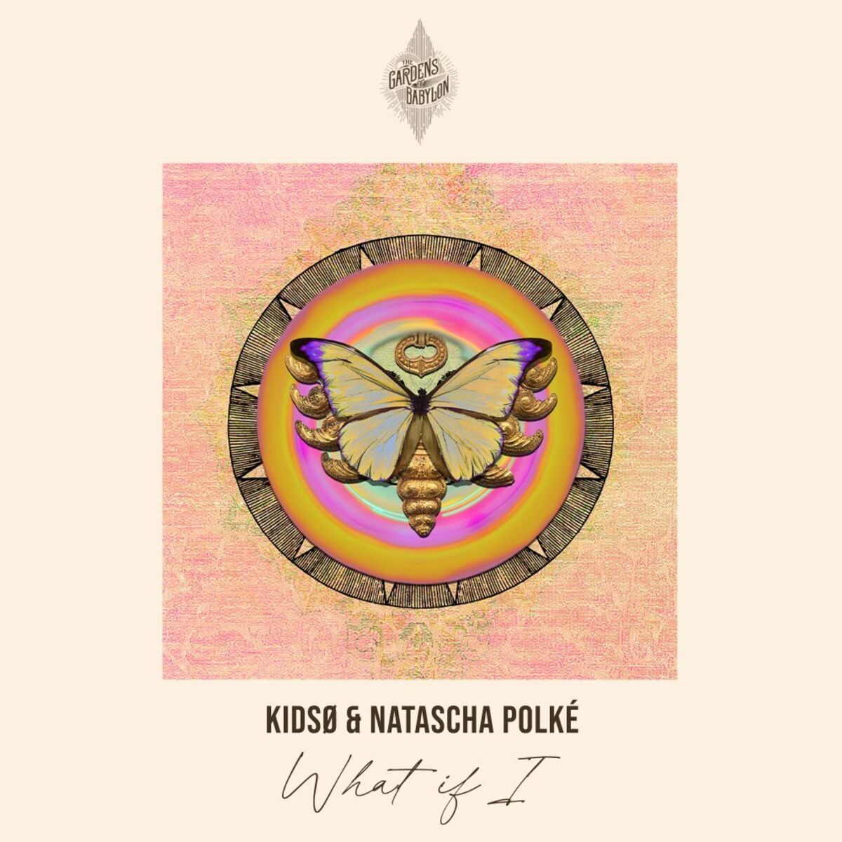 Album cover of What If I