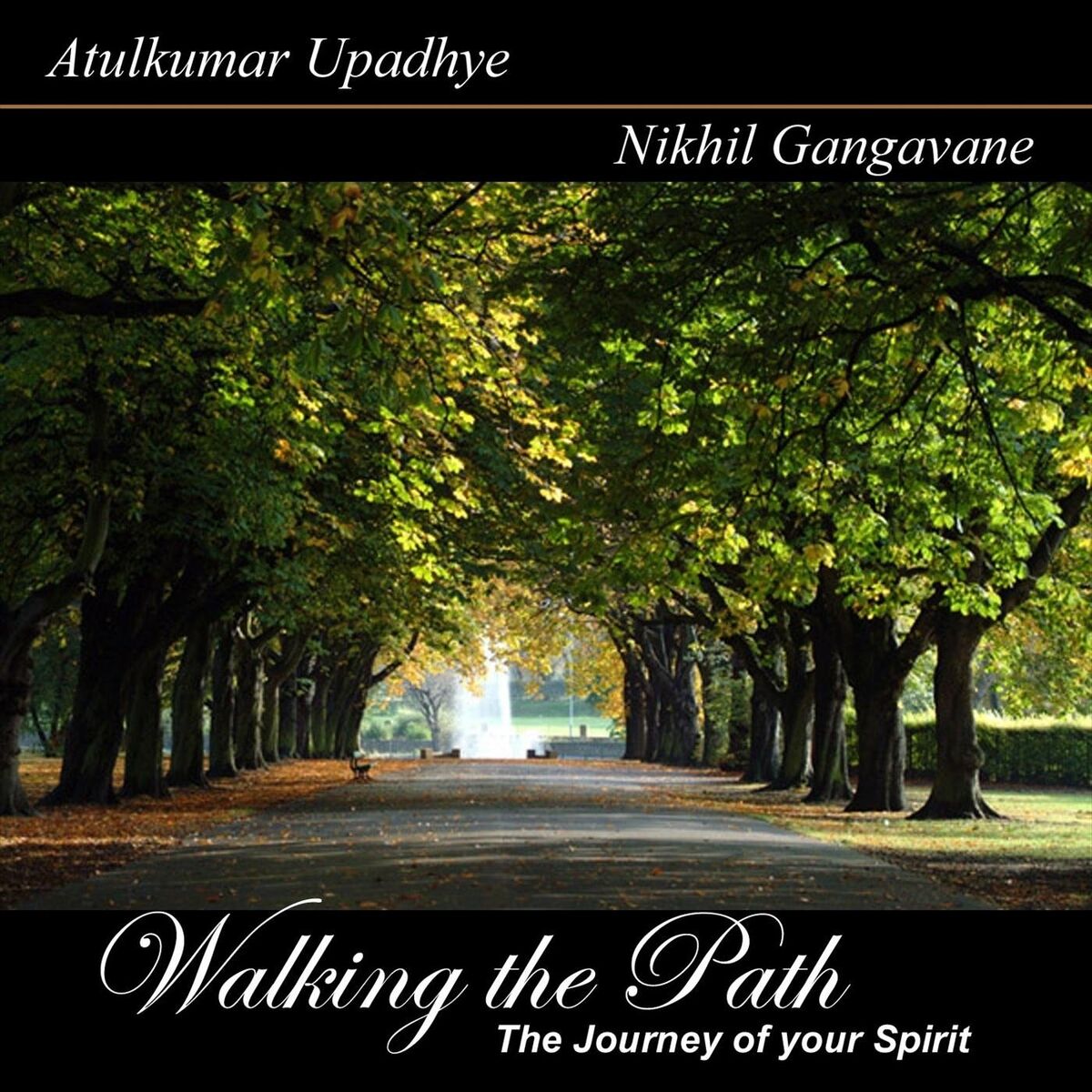 Album cover of Walking the Path