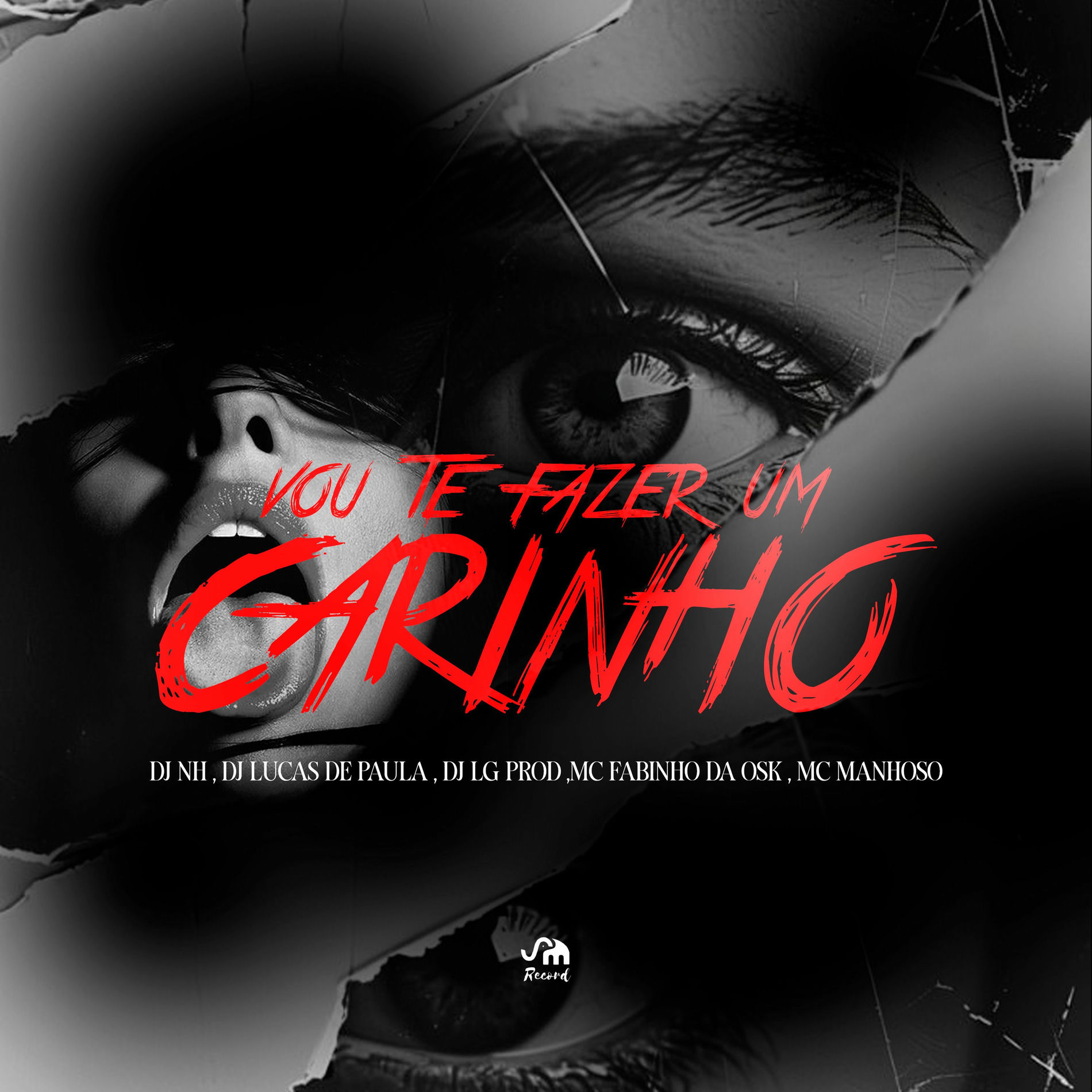 Album cover of Vou Te Fazer um Carinho