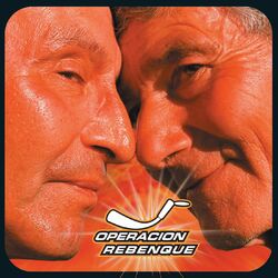 Cover of Operacion Rebenque