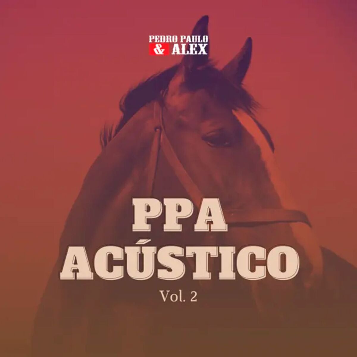 Album cover of PPA Acústico (Vol. 2)