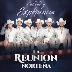 Cover of Calidad y Experiencia