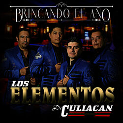 Cover of Brincando el Año