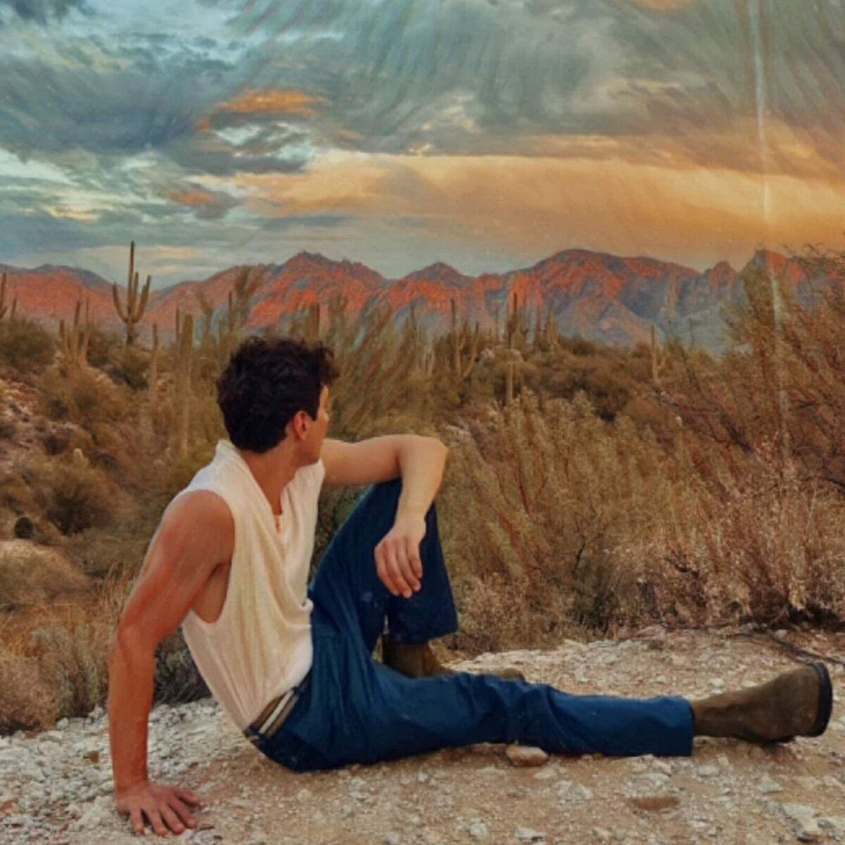 Album cover of Shadows of Love