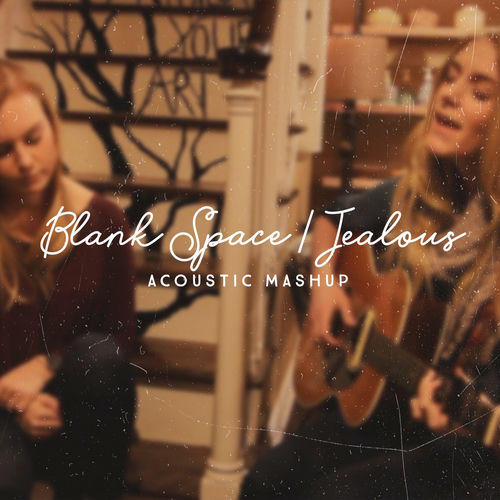 Blank Space / Jealous (Acoustic Mashup) by Megan Davies - 95 BPM
