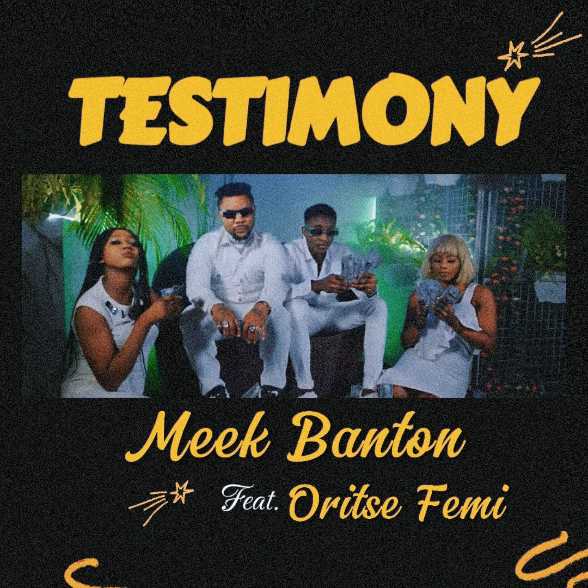 Album cover of Testimony