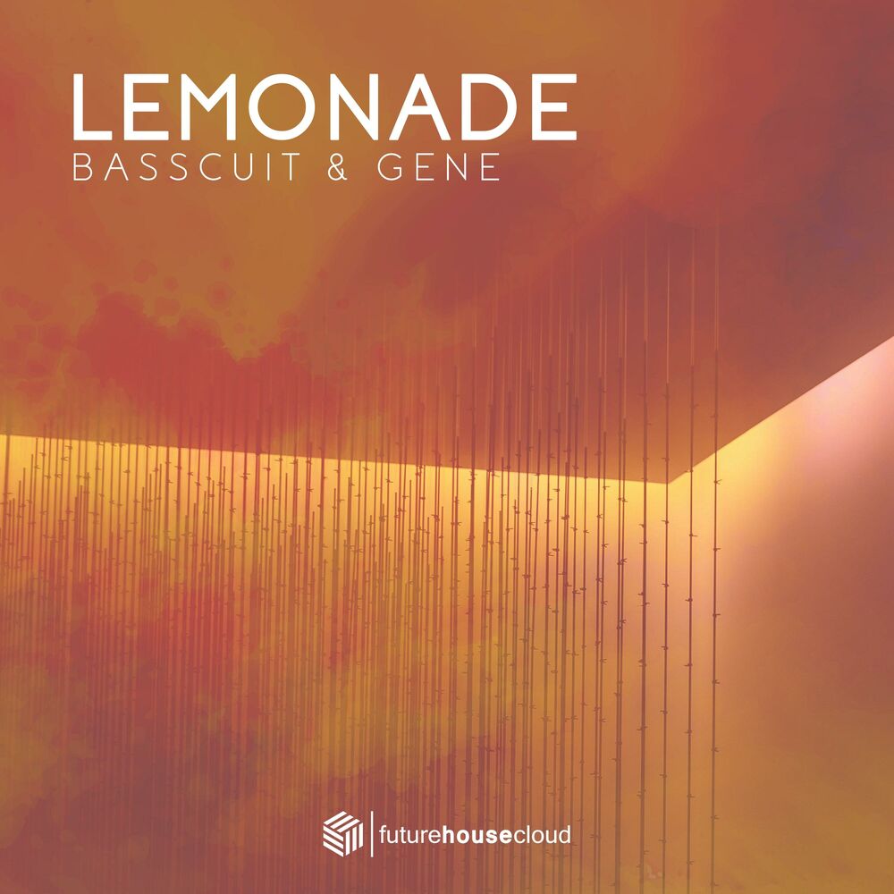 Picture of Lemonade