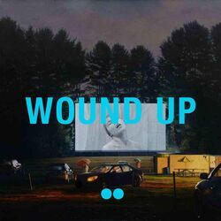 Cover of Wound Up