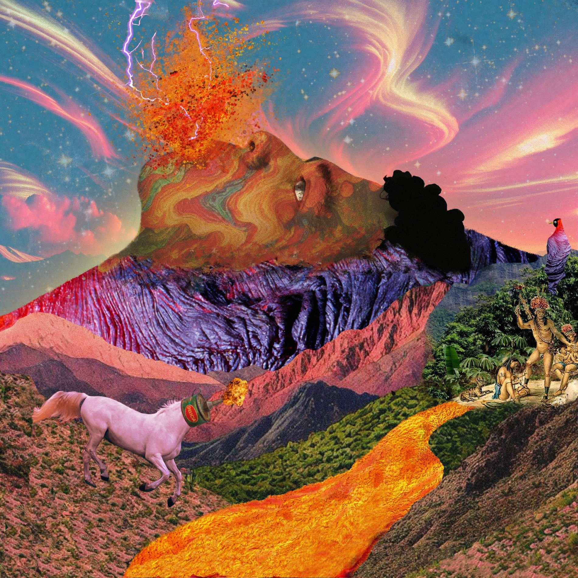 Album cover of Flor de Vulcão