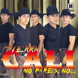 Cover of No Pares, No... (Los Creadores del Sacadito)