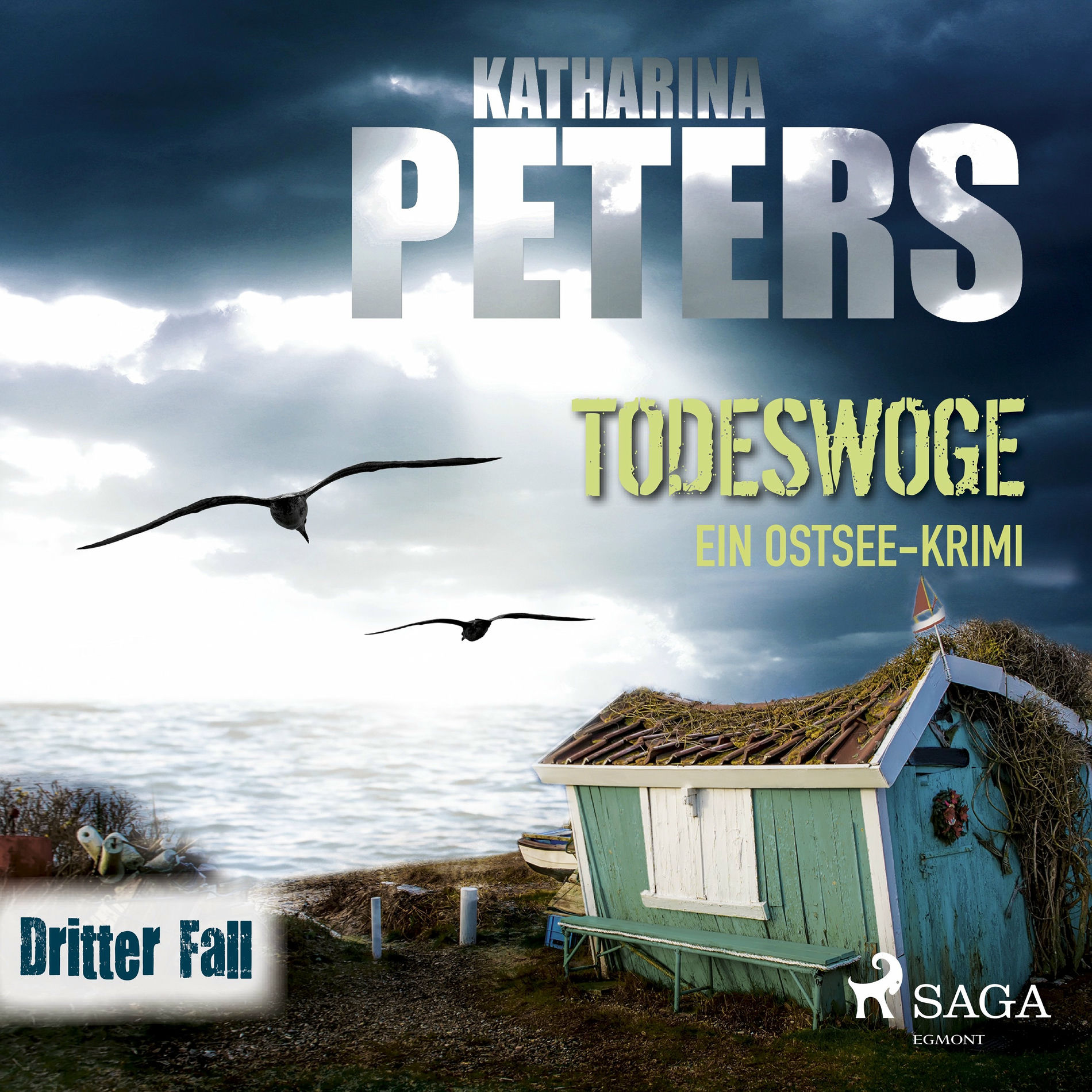 Album cover of Kapitel 1 & Kapitel 2 & Kapitel 3.1 - Todeswoge: Ein Ostsee-Krimi (Emma Klar ermittelt 3)