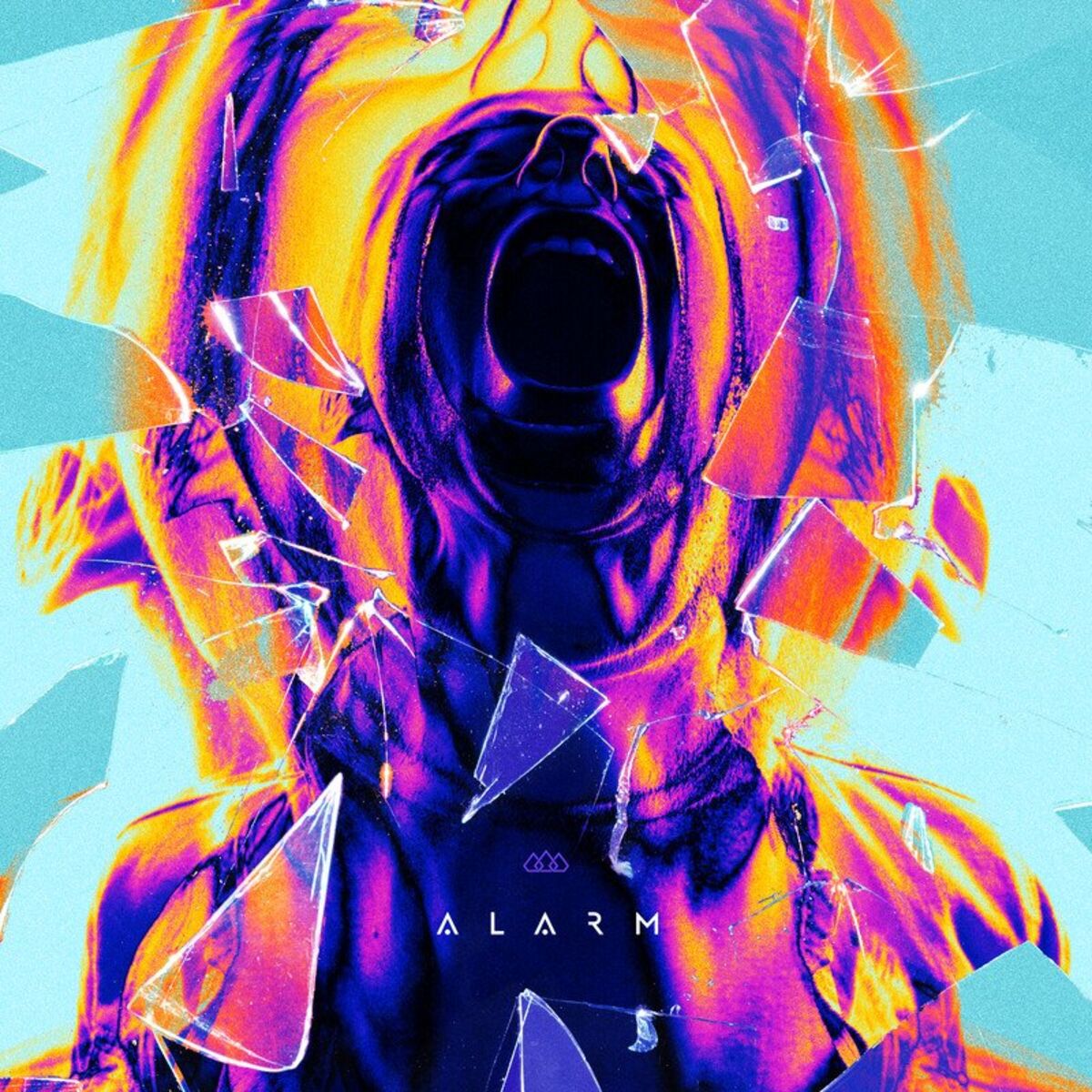 Album cover of Alarm