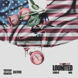 Cover of Lounited States of America Pt2