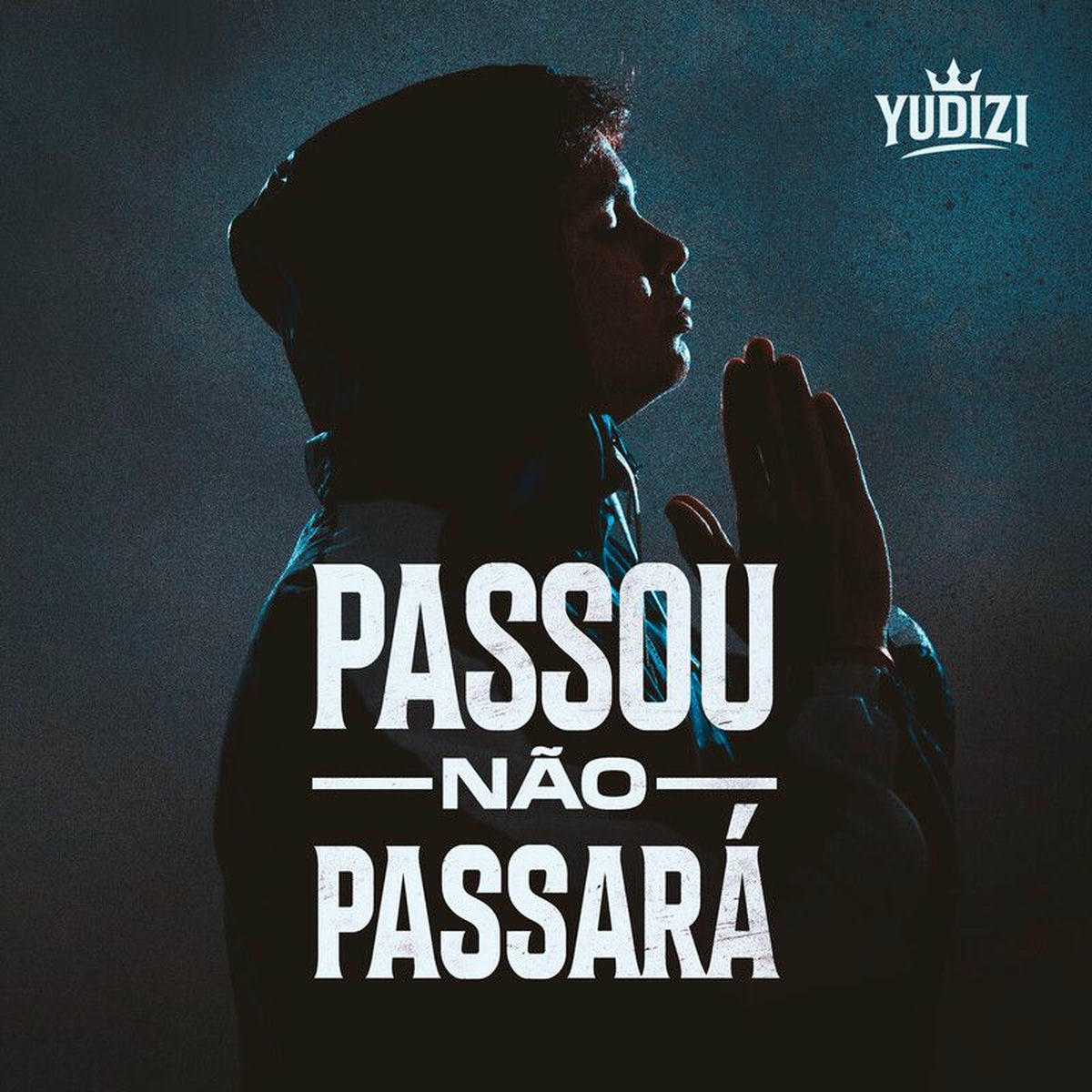 Album cover of Passou, Não Passará