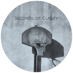 Cover of Seconds of Clarity