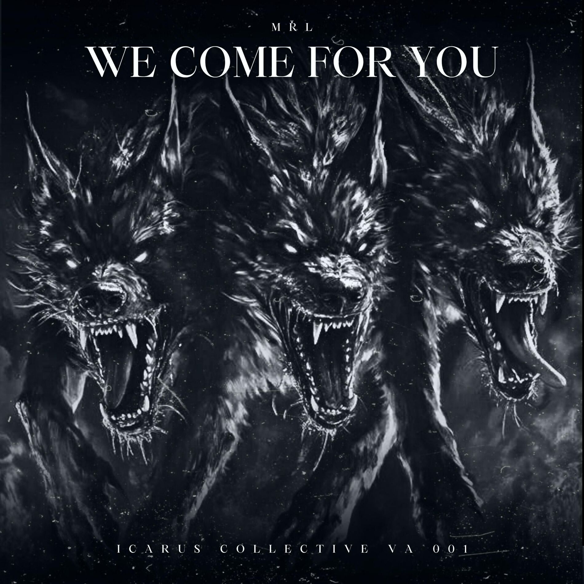 Album cover of WE COME FOR YOU