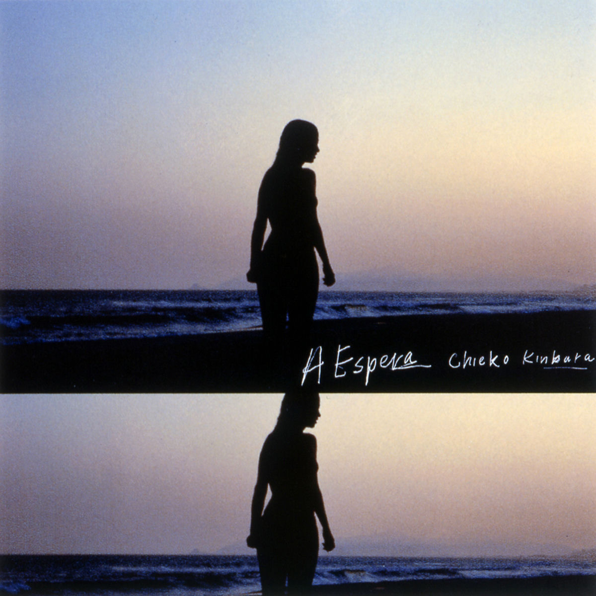 その他 Sunaga t experience DIGS CHIEKO KINBARA~CHIEKO KINBARA JAZZ REMIXIES [CD] CD1枚 / CHIEKO KINBARA (金原千恵子) / Sunaga T Experience