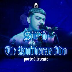 Cover of Si No Te Hubieras Ido