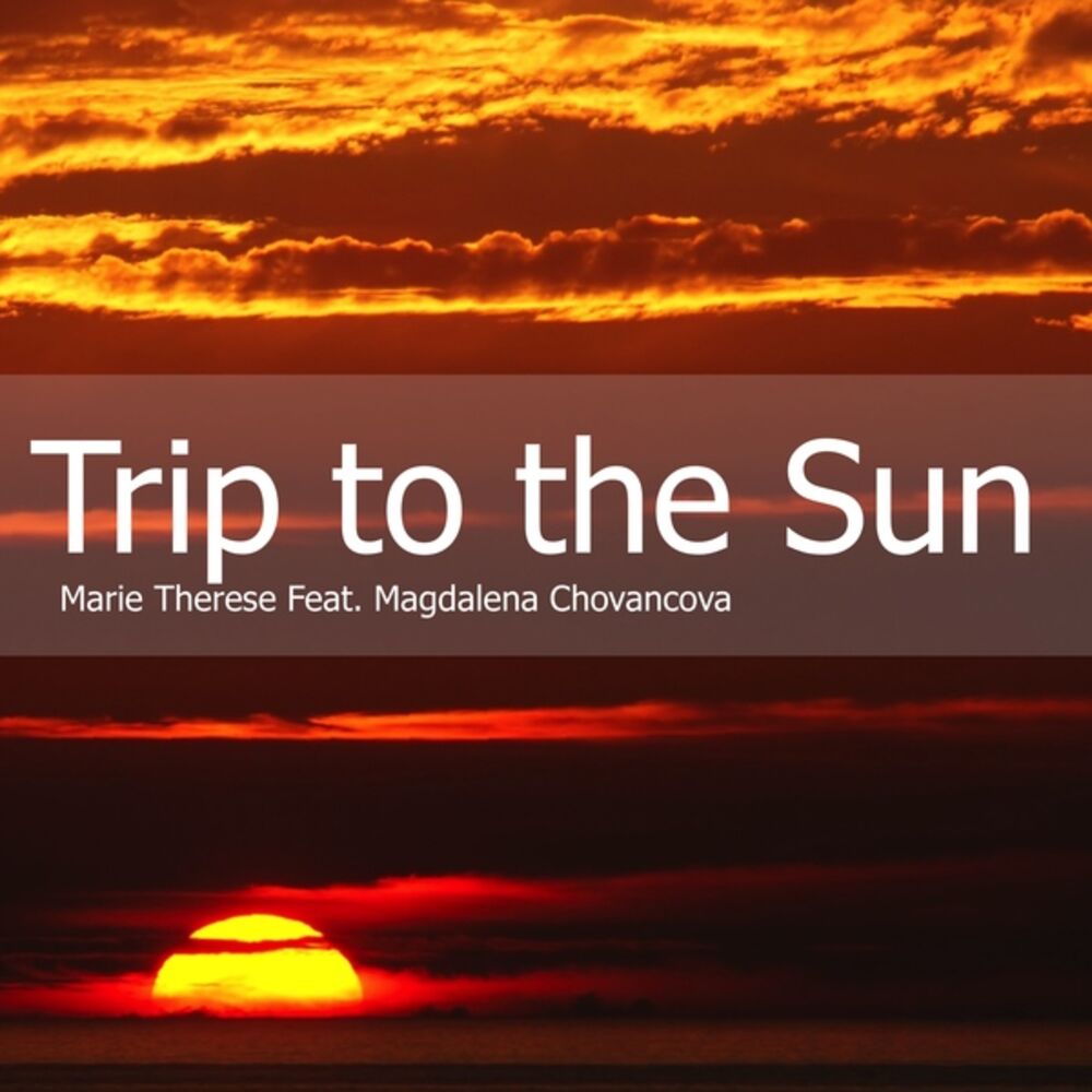 Picture of Trip to the Sun