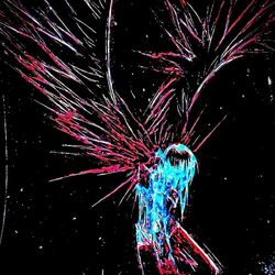 Cover of Dissolution