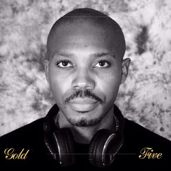 Cover of Gold 5 by undefined