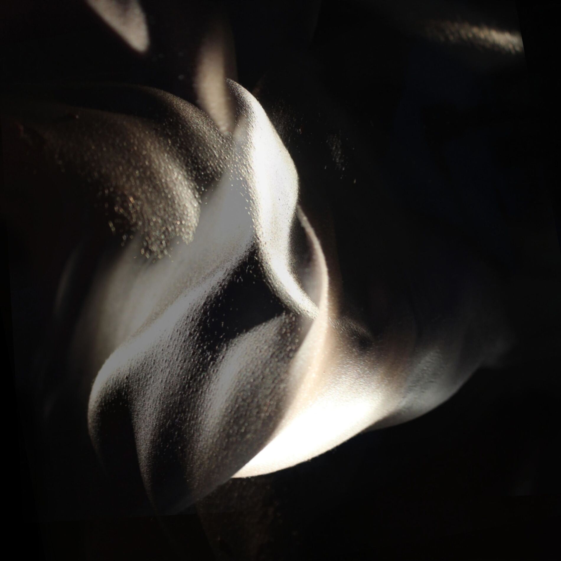 Album cover of Clair-Obscur suite for solo piano