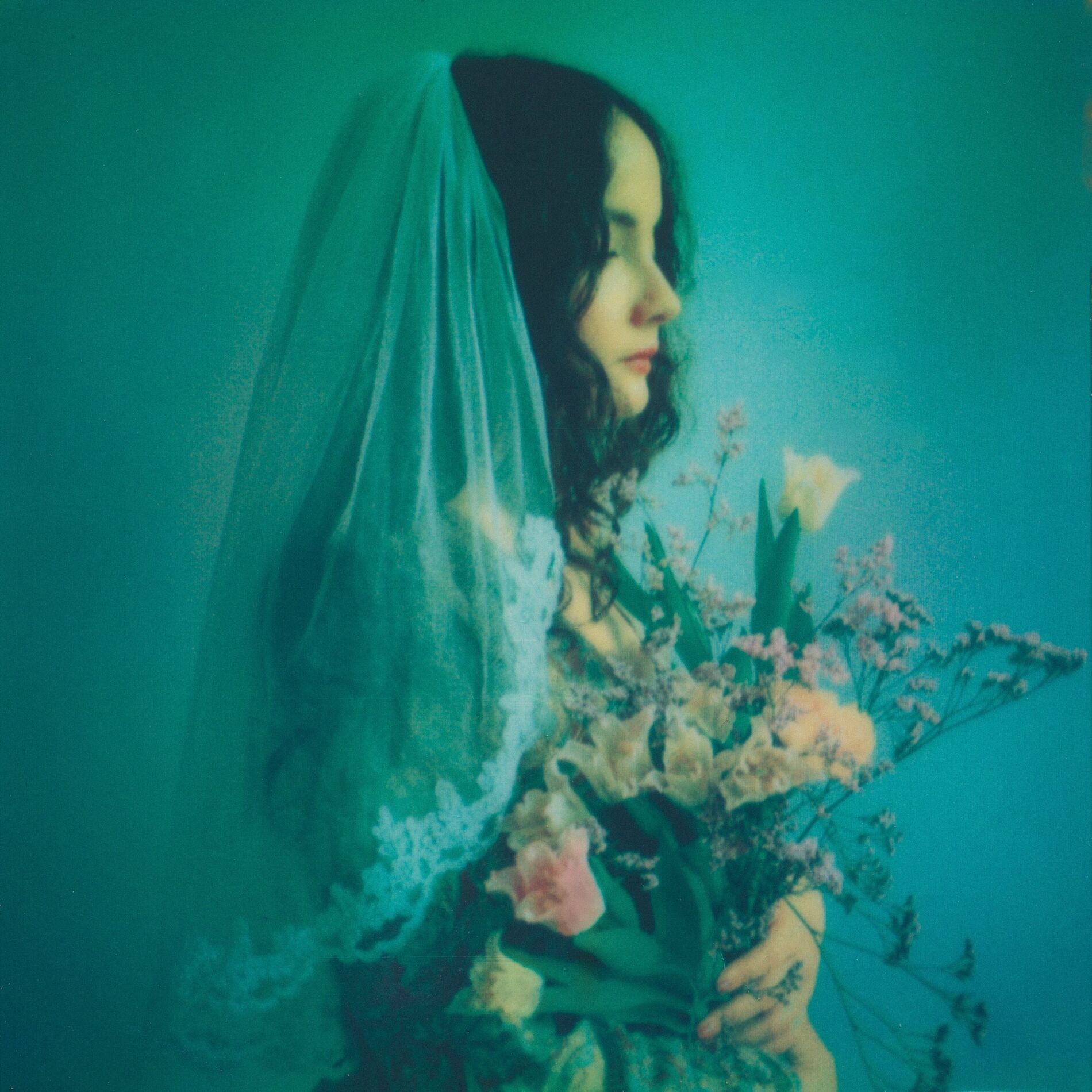 Album cover of All Flowers in Time