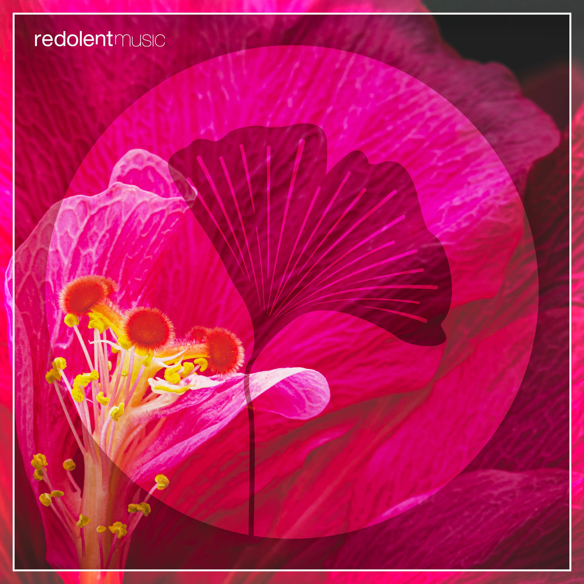 Album cover of La Danza (SIS Remix)