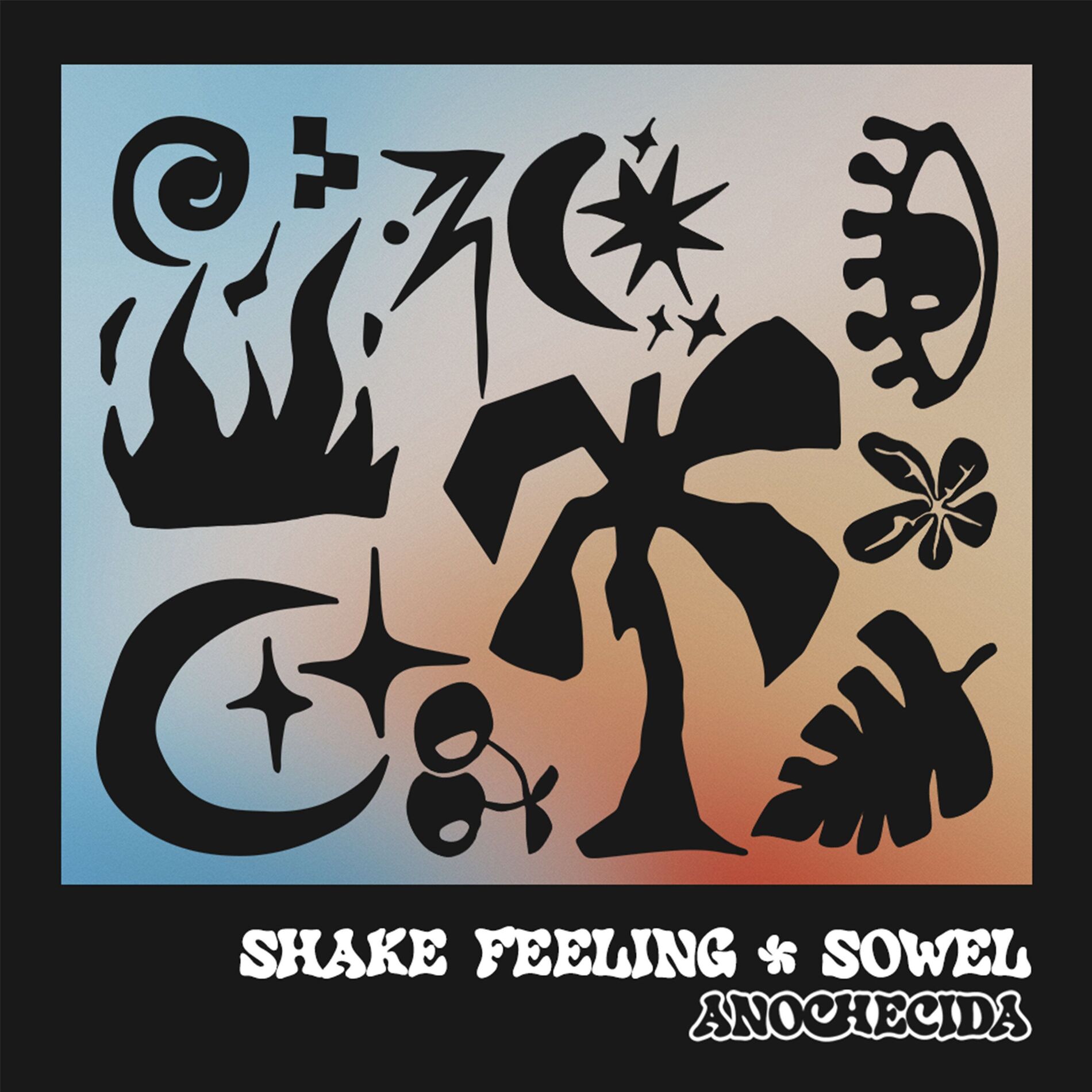 Album cover of Shake Feeling