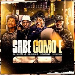 Cover of SABE COMO É