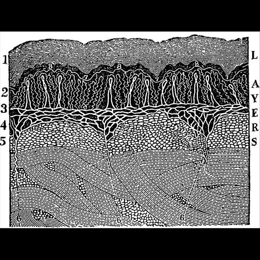 Picture of Layers