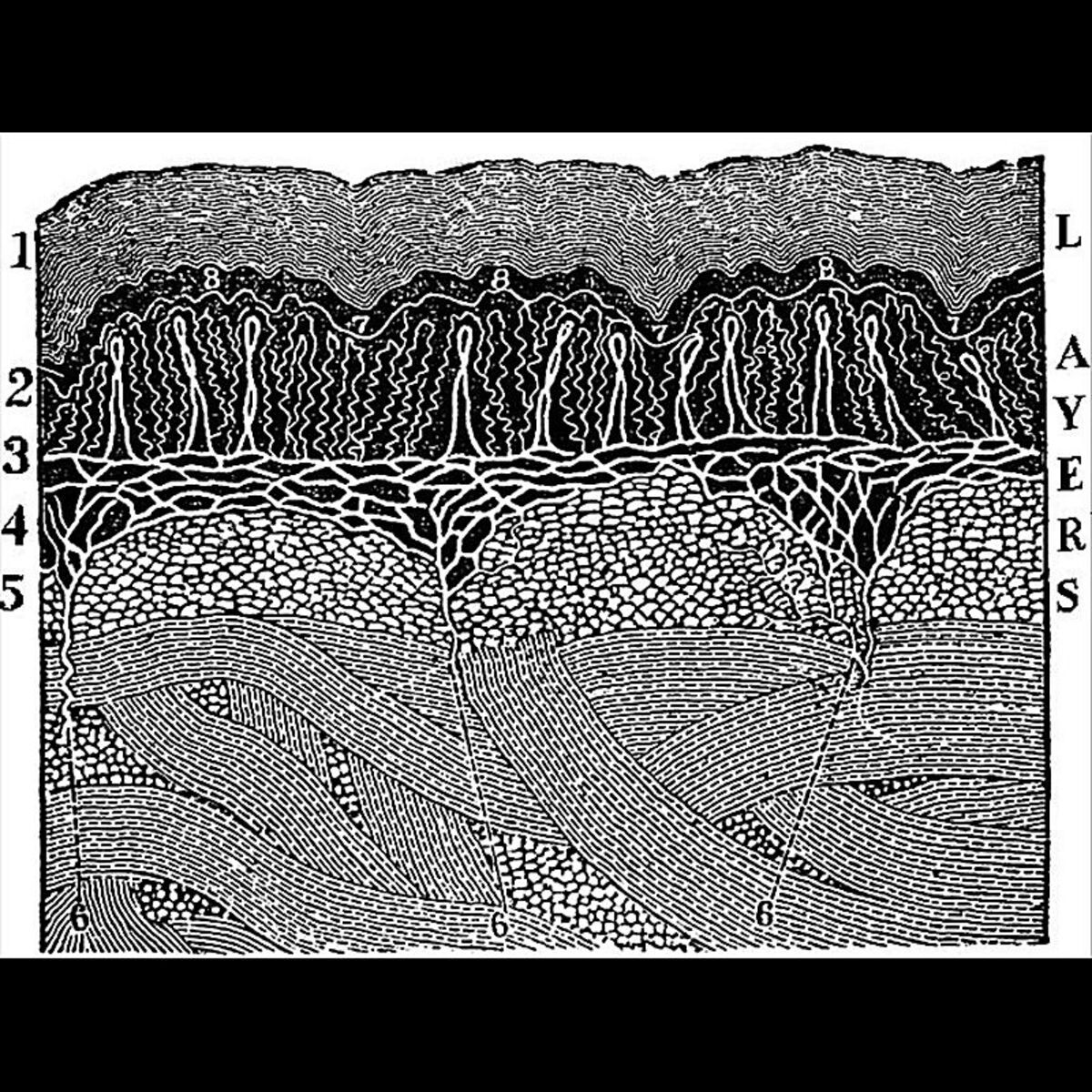 Album cover of Layers