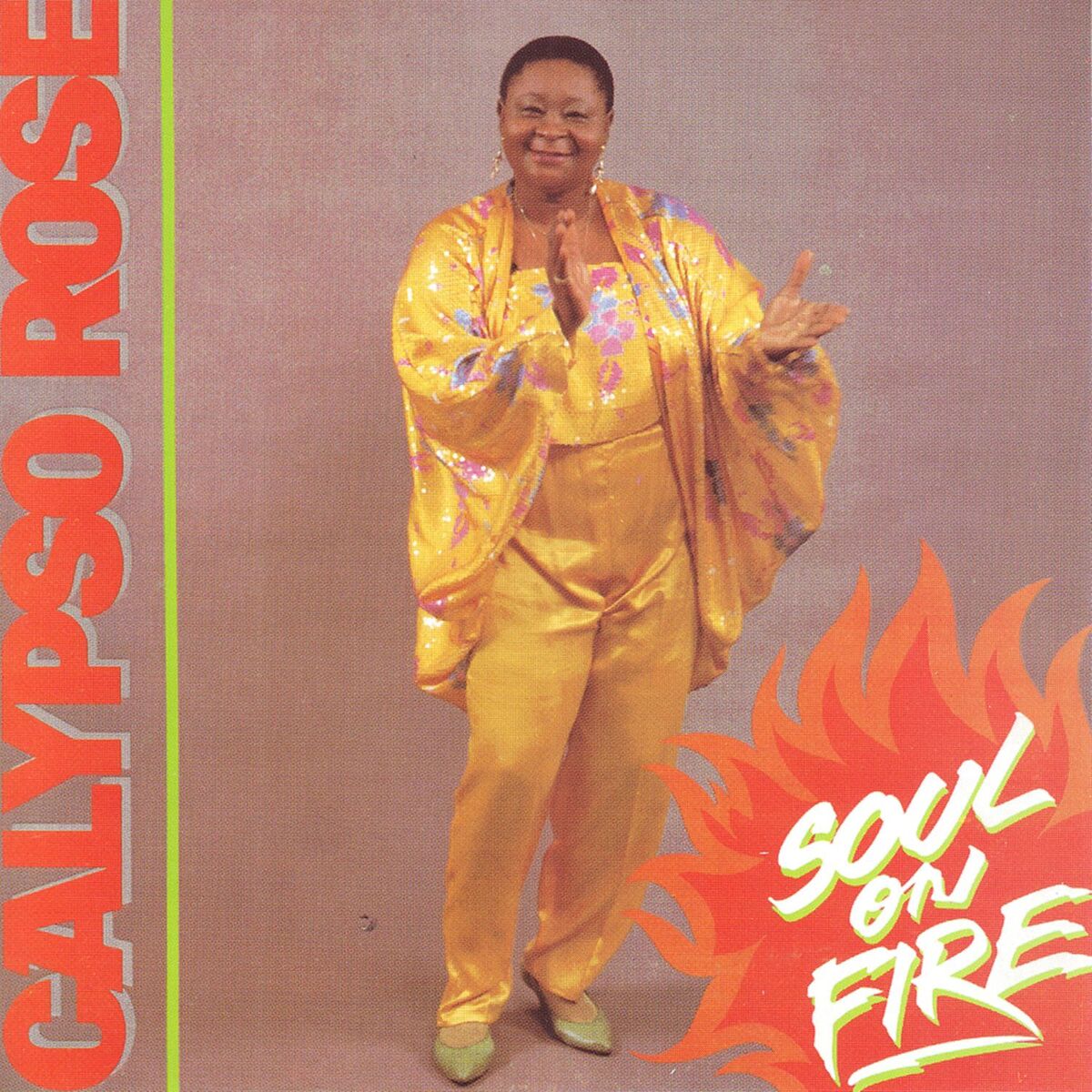 Album cover of Soul on Fire