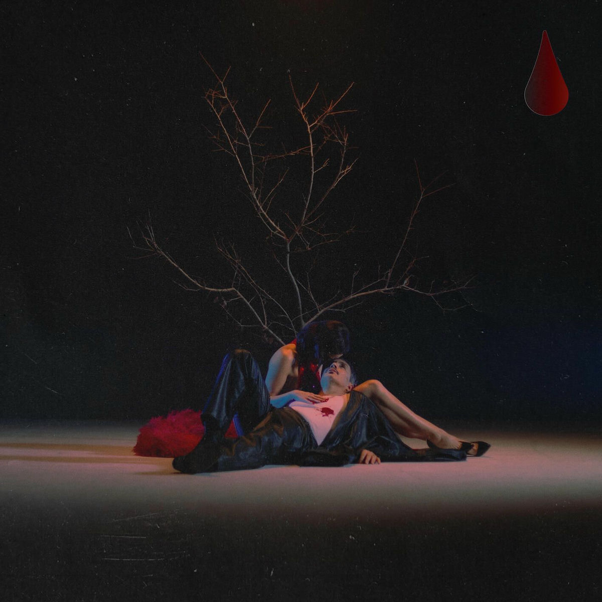 Album cover of Elástico