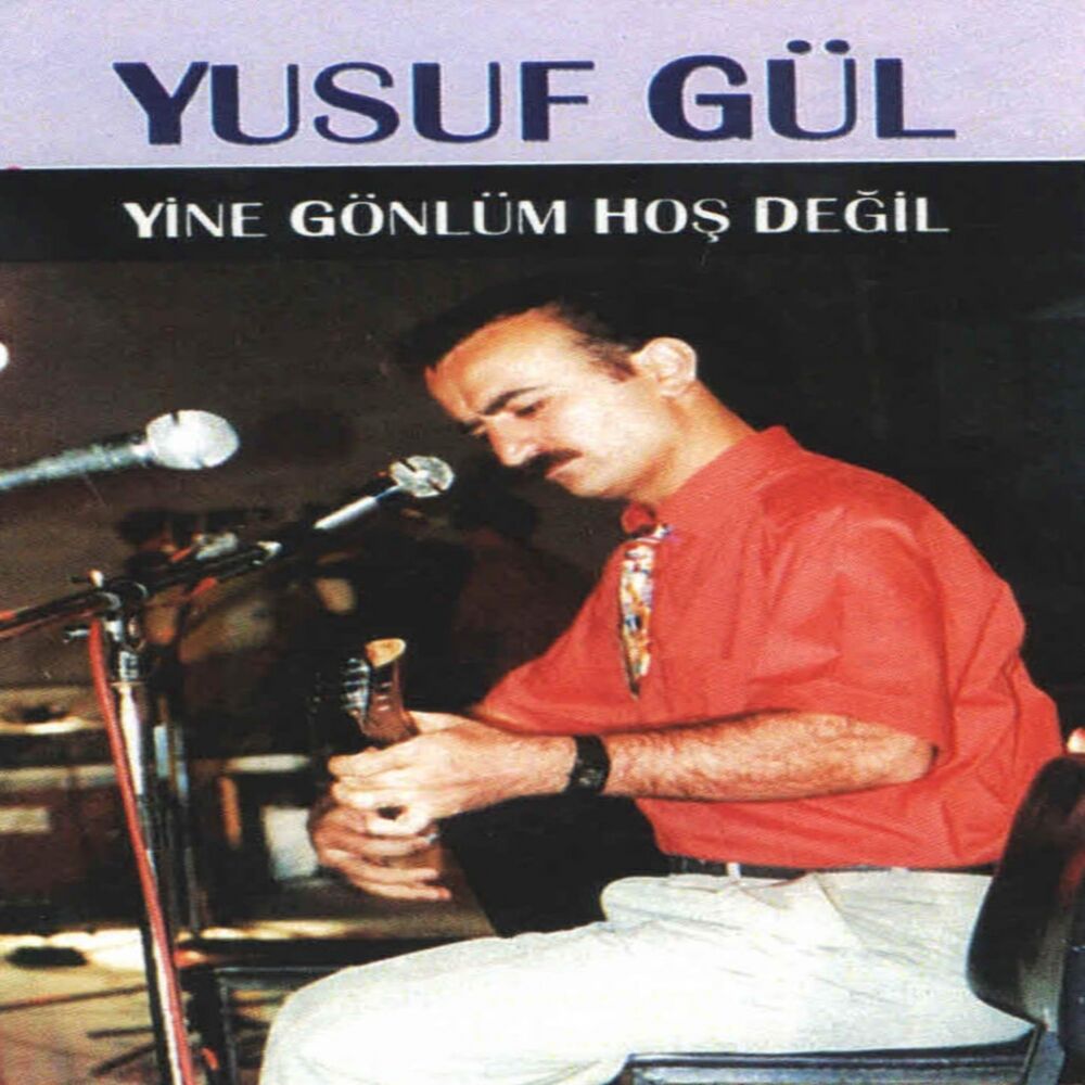 Picture of Yine Gönlüm Hoş Değil
