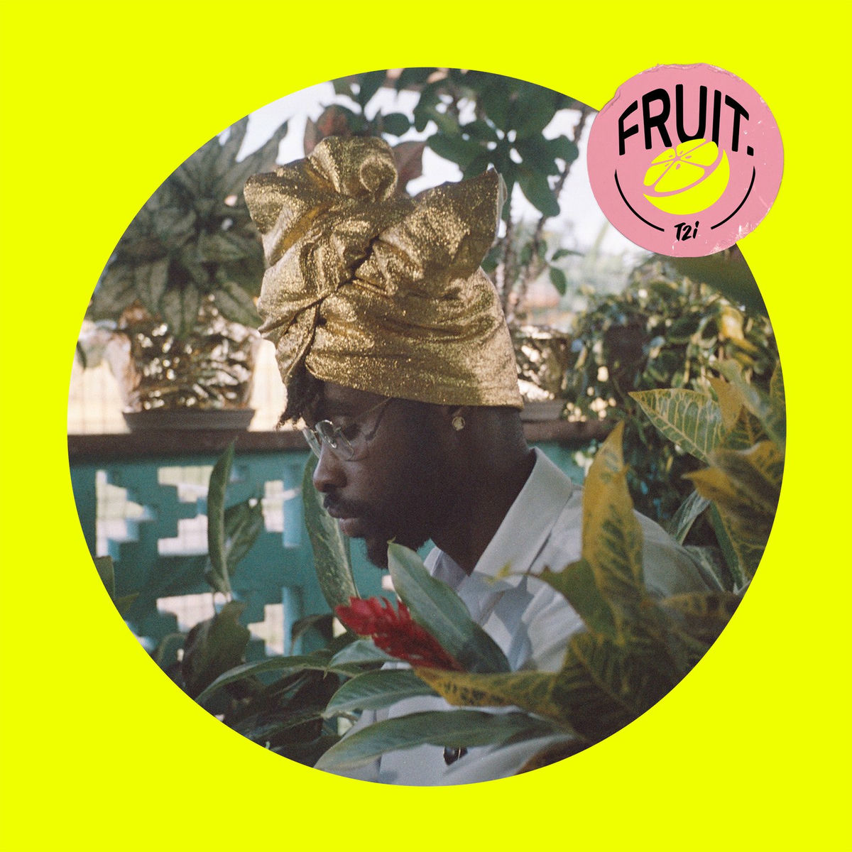 Album cover of Fruit.