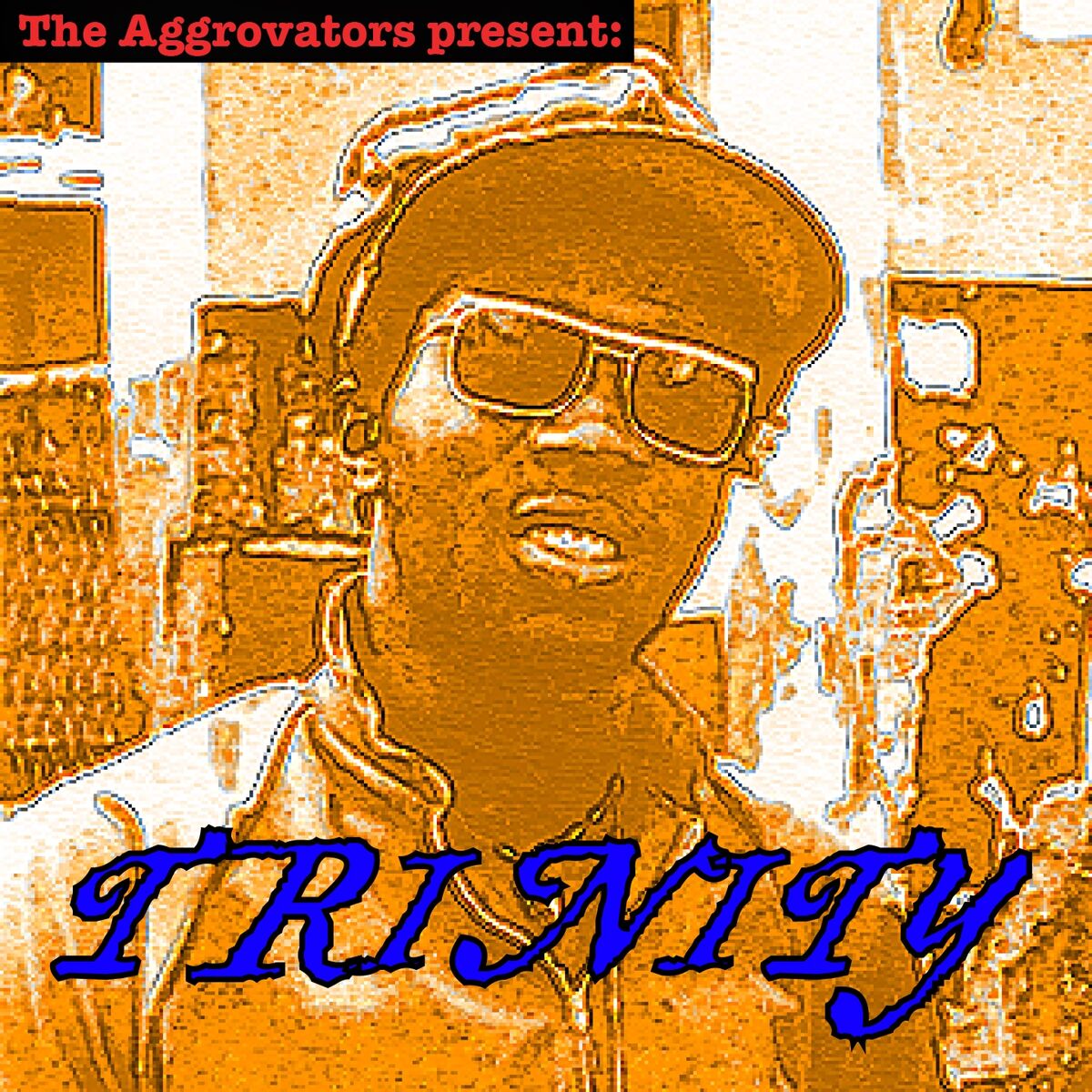 Album cover of The Aggrovators Present Trinity