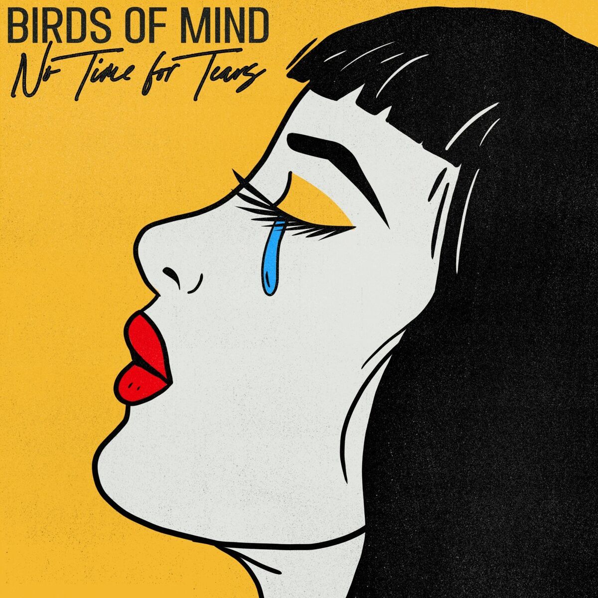 Album cover of No Time for Tears
