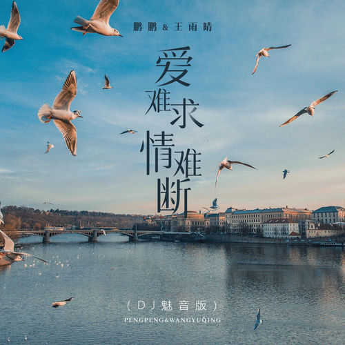 爱难求情难断(DJ魅音版)