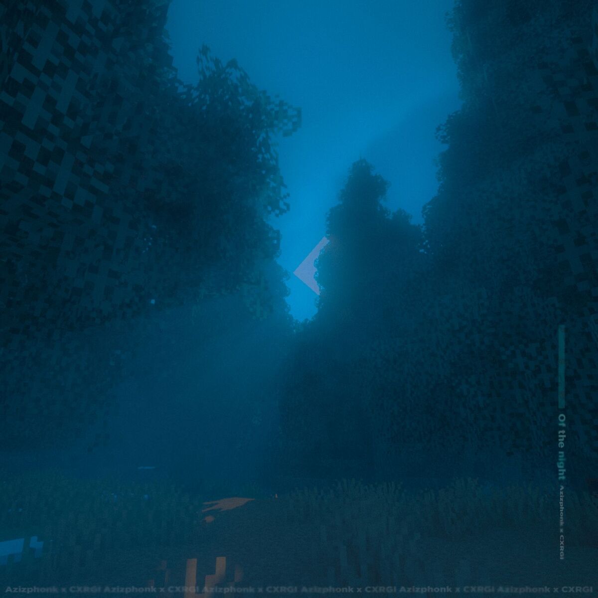 Album cover of of the night