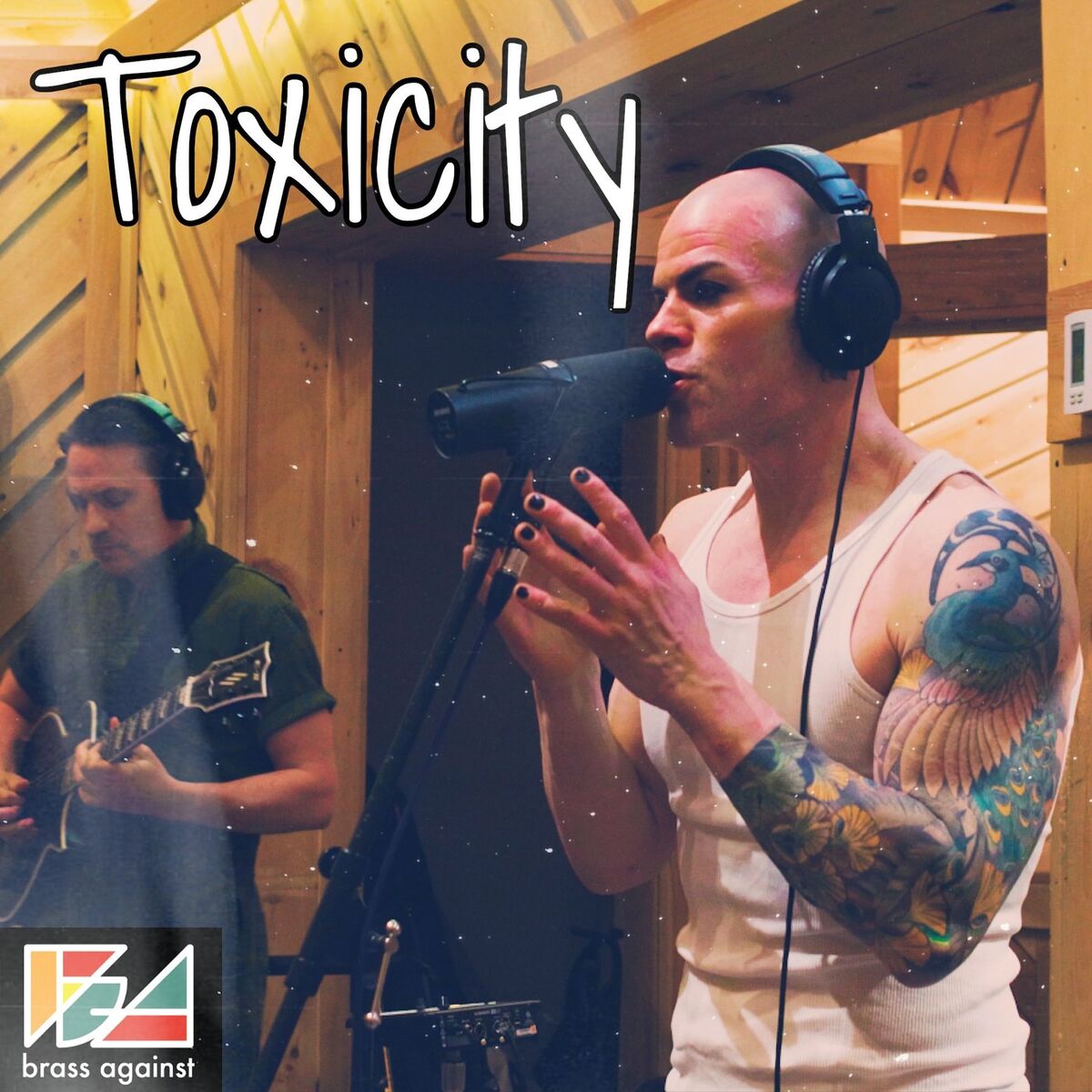 Album cover of Toxicity